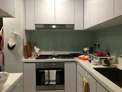 Eight Riversuites (D12), Condominium #509215331